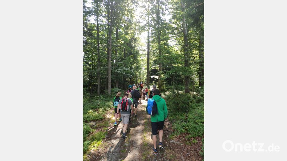 Im Schatten des Waldes wird auch eine Wanderung schön. Bild: hme