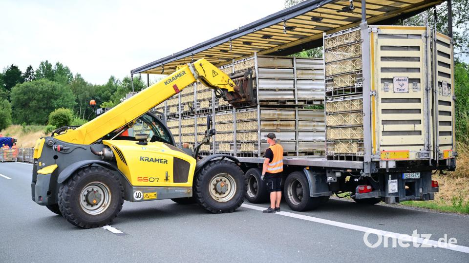 Ein Lastwagen mit fast dreitausend Masthähnchen ist bei Schönwald im Landkreis Wunsiedel von der A 93 abgekommen. Bild: Matthias Merz