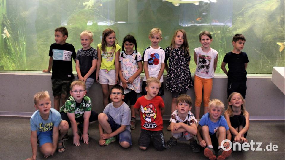 Die Kinder besuchten das Fischereimuseum in Tirschenreuth. Bild: Kindergarten Kunterbunt Erbendorf/exb