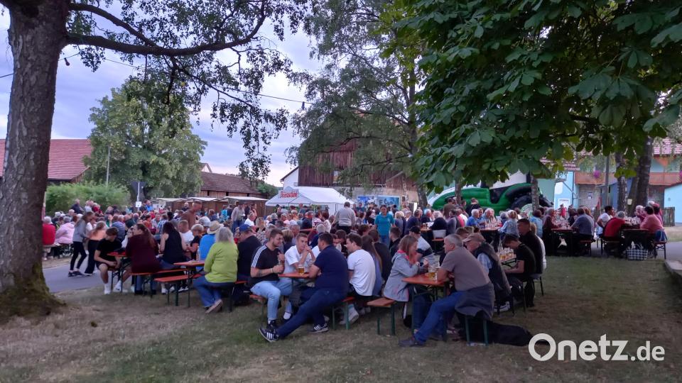 Viele Besucher strömen zum Dorffest in Pleisdorf und freuen sich über einen schattigen Platz unter den Bäumen. Bild: gra