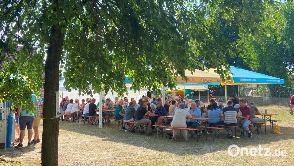 Das Parkfest war bei herrlichem Wetter gut besucht Bild: Kappl, Andreas [kap]