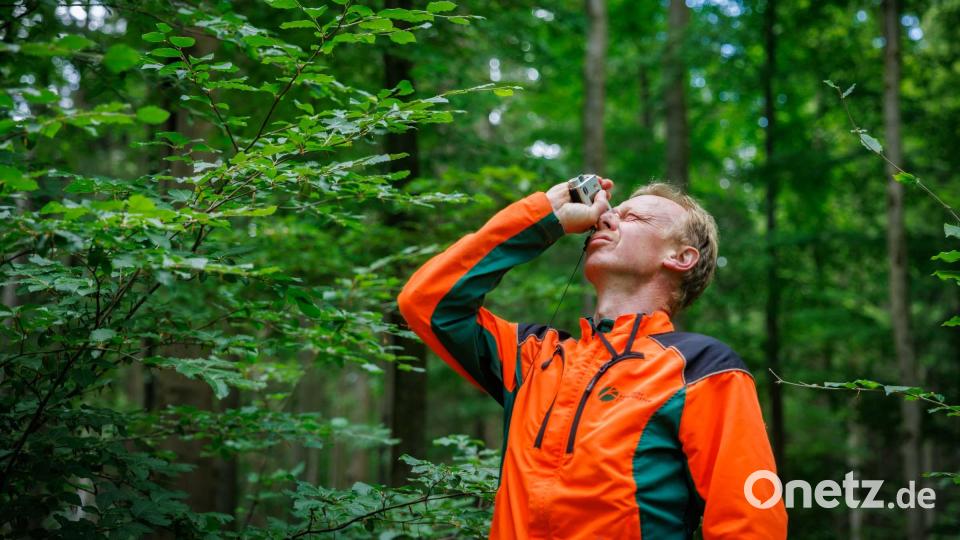 Messung der Baumhöhe mit einem optischen Gerät. Bild: Martin Hertel/exb