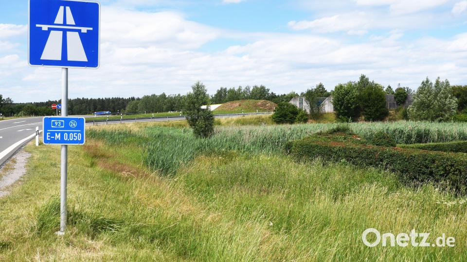 1. Station: Autobahnauffahrt bei Weiden-Frauenricht. Hier lockt ein Rückhaltebecken Naturfreunde an. Bild: Gabi Schönberger