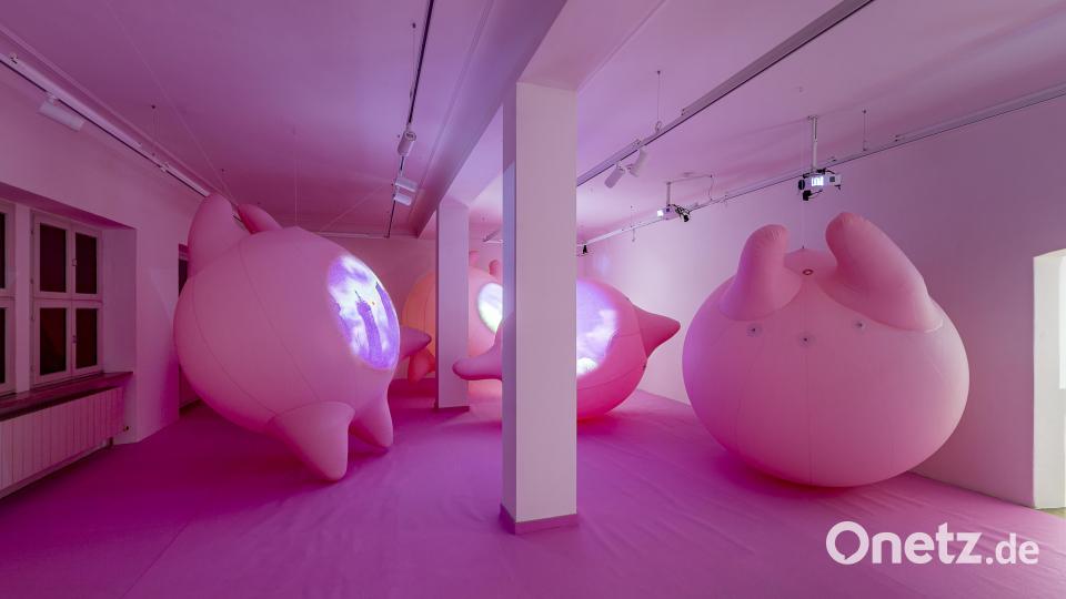 Noch bis Oktober ist die multimediale Installation &quot;Eden like Garden&quot; im Luftmuseum zu bestaunen. Bild: Marcus Rebmann/exb