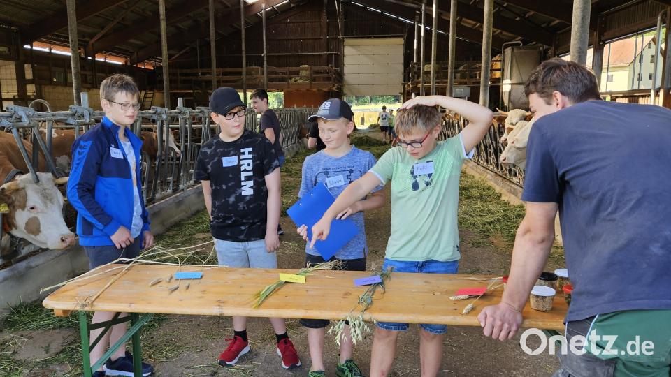 Die Fünftklässler der Realschule im Stiftland in Waldsassen auf dem Hof der Familie Kunz in Groppenheim. Bild: Birgit Plößner/exb