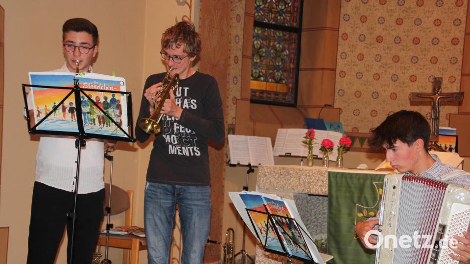 Das Musikertrio aus Tirschenreuth in Action. Bild: kro