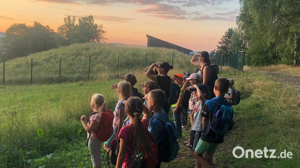 Die Kolpingsfamilie Waldershof startet mit Kindern wieder zur Nachtwanderung. Archivbild: Kolping Waldershof/exb
