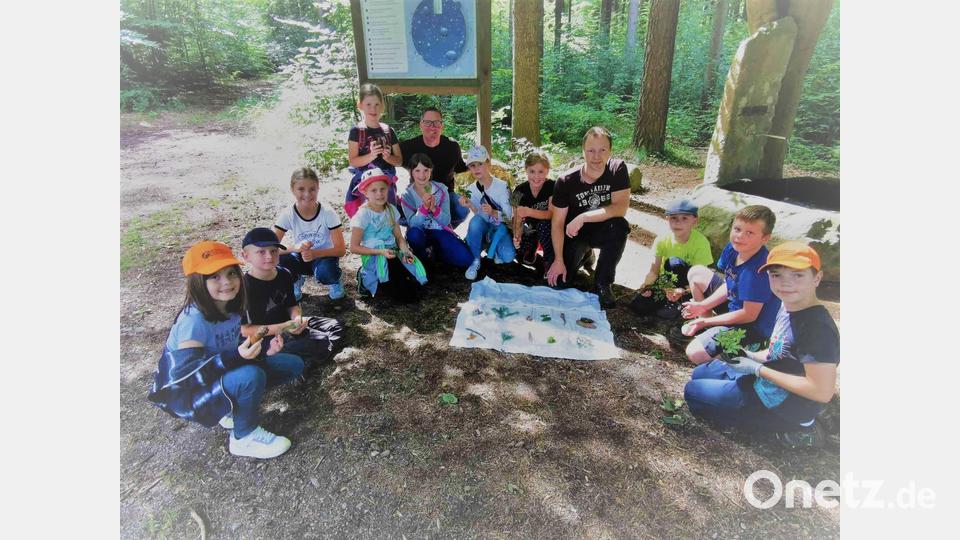 Nach dem Durchforschen des Waldes konnten die Kinder dem Forstbeamten Michael Forster eine Vielfalt an Waldprodukten vorzeigen. Bild: gz