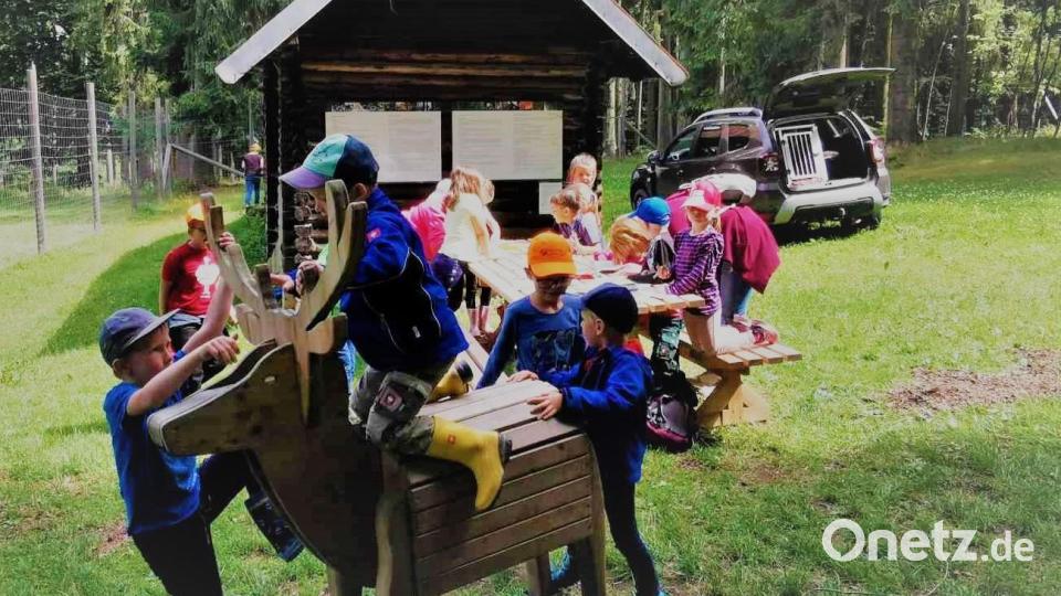 Beim Ferienprogramm in Eslarn wird auch der Wald erkundet. Die Kinder beschäftigten sich an den Spielgeräten und am Tisch mit Malen. Bild: gz