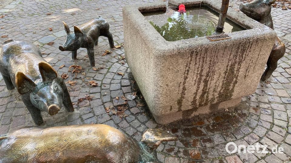 Aus dem Schweinchenbrunnen am Viehmarkt kommt Trinkwasser. Bild: Petra Hartl