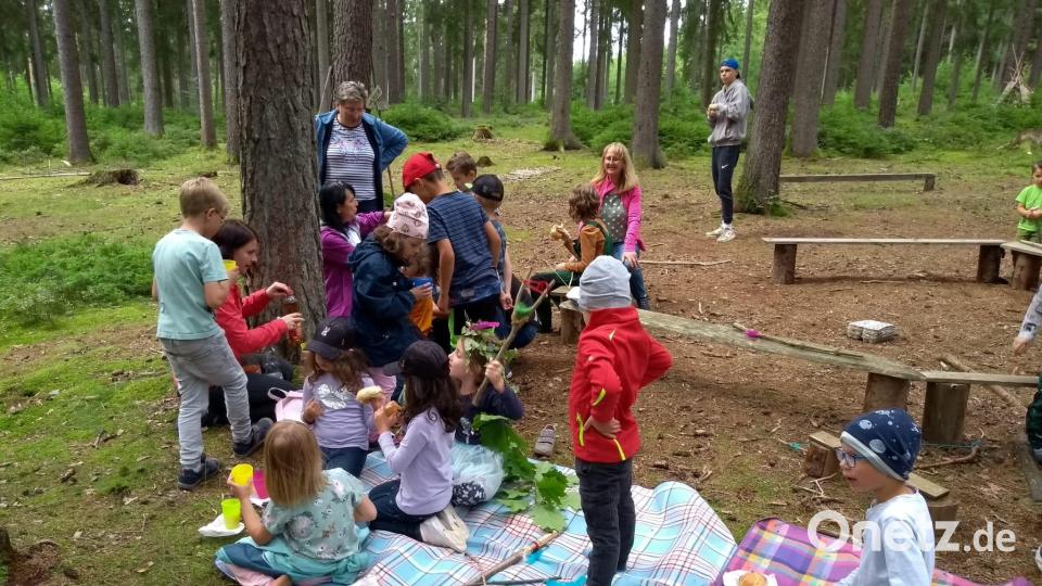 Beim Ferienprogramm der SPD ging es in den Wald. Bild: Corinna Karger-Hostalka/exb