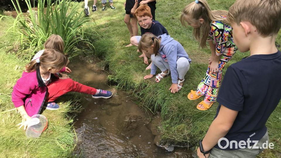 Das Spielen am Wasser wie hier am Leherbach macht den Kindern Spaß. Bild: mma