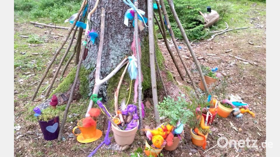 Beim Ferienprogramm der SPD ging es in den Wald. Bild: Corinna Karger-Hostalka/exb