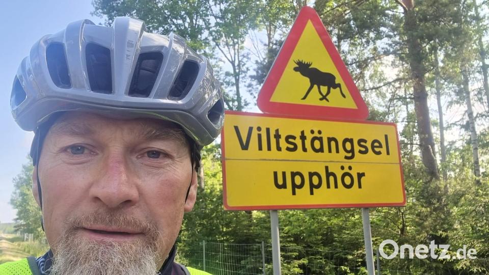 Achtung Elch! Auch dieses "Muss-Foto" für Skandinavien-Touristen hat sich Josef Reger auf der Reise nicht entgehen lassen. Bild: Josef Reger