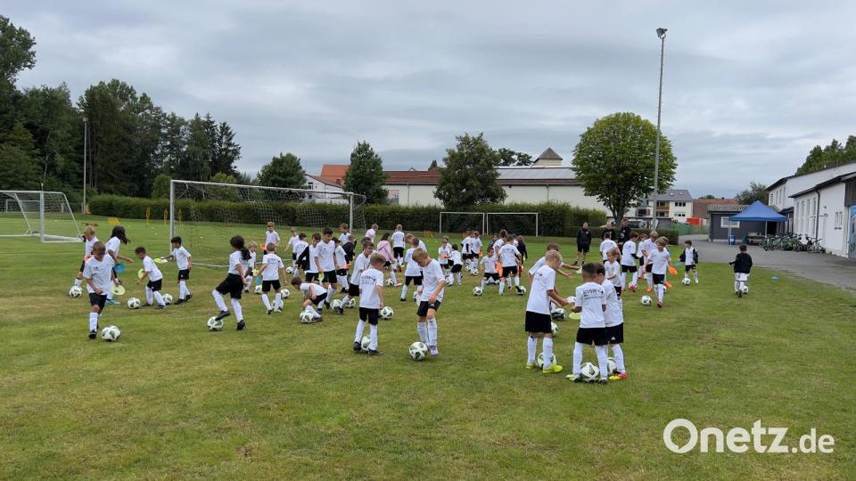 Der SVSW Kemnath hatte im Rahmen des Ferienprogramms der Stadt Kemnath zum Sommer-Fußballcamp eingeladen. 56 Kinder hatten sich angemeldet. Bild: SVSW Kemnath