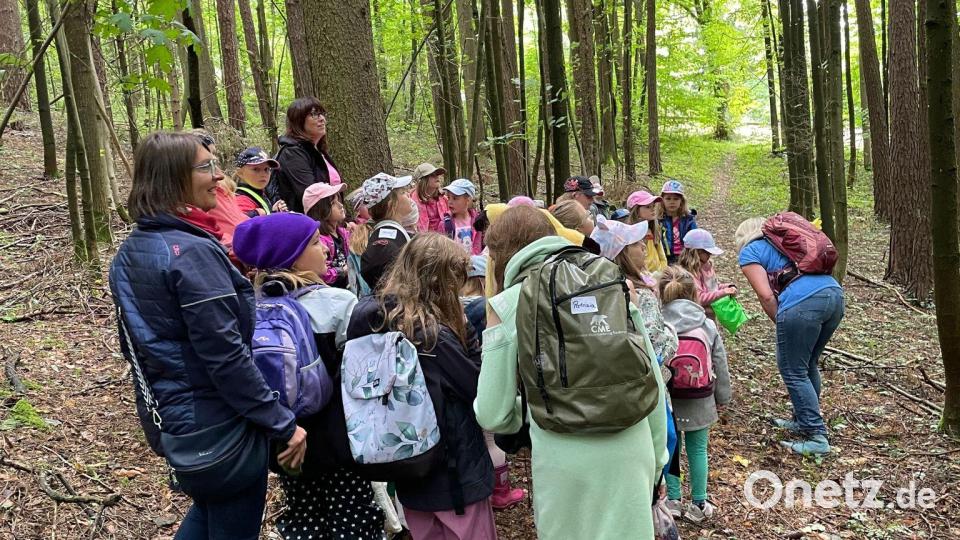 Die Kinder suchten im Wald nach dem &quot;Waldwichtel Willi&quot;. Bild: Birgit Trenz/exb