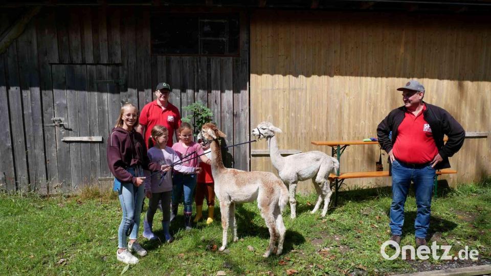 Sorgt für Freude bei den Ferienkindern in Eslarn: Ein Spaziergang mit den beiden Alpakas &quot;Flecki&quot; und &quot;Freddi&quot;. Bild: gz