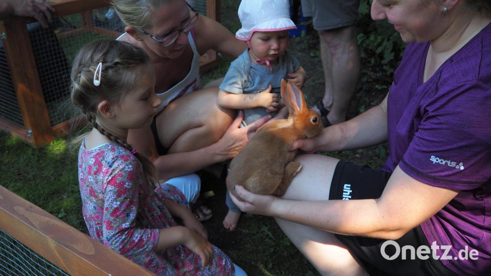 Das Kinderfest der Stadt Neustadt/WN bot etliche Spaßangebote für die Kleinen und schon etwas Größeren. Bild: krb