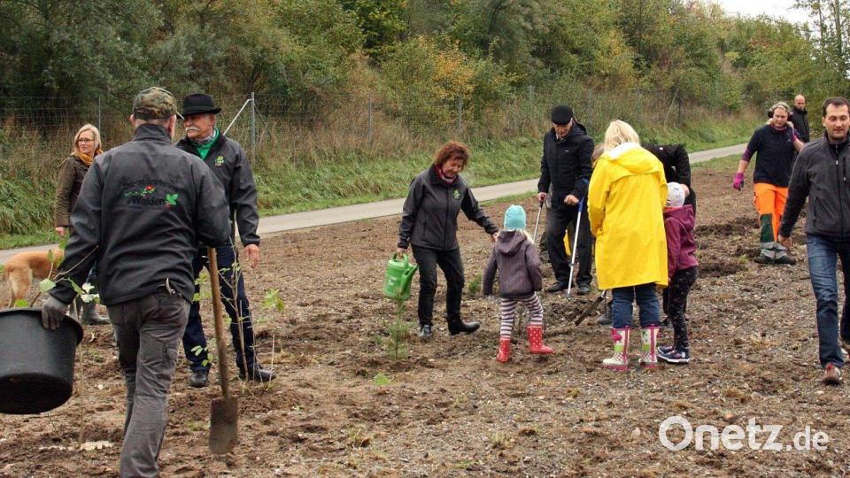 "Einheitsbuddeln" 2019 an der Lärmschutzwand zur A 93 in der Schustermooslohe. Schon bei der Premiere machen jede Menge fleißige Bürger mit. Archivbild: R. Kreuzer