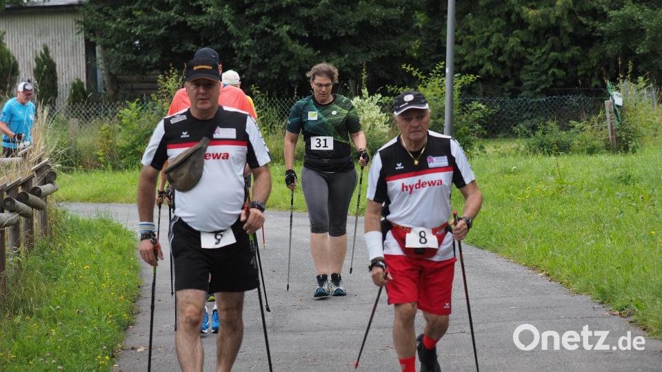 Am Samstag klackerten in der Rosenhofsiedlung in Auerbach wieder die Nordic-Walking-Stöcke. Der Siedlerwalk führte vorbei am kleinen Stadtweiher in Richtung Veldensteiner Forst. Bild: kek