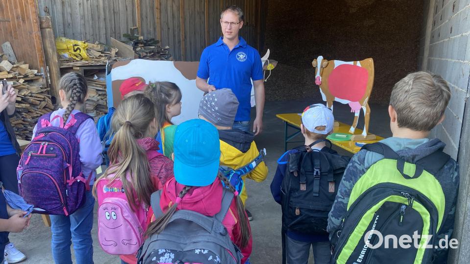 Kevin Weigl erarbeitet bei einer Station vom staatlich geförderten Projekt „Erlebnis Bauernhof“ mit den Kindern die Reihenfolge der vier Mägen einer Kuh. Bild: Judith Zeitler/exb