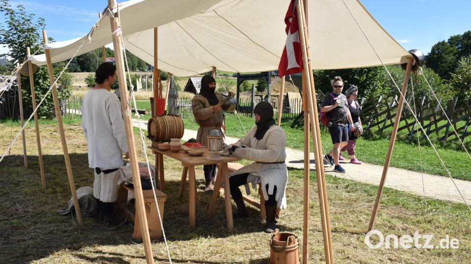 Auch einige Ritter aus Ungarn waren vor Ort. Bild: ubb