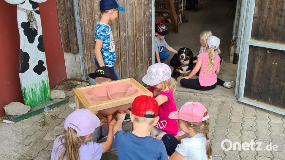 Im staatlich geförderten Projekt „Erlebnis Bauernhof“ haben die Kinder beim Walerhof-Programm „Rund um die Kuh“ die Möglichkeit, an einem Gummi-Euter zu melken und direkten Kontakt zu den Hoftieren zu haben. Bild: Judith Zeitler/exb