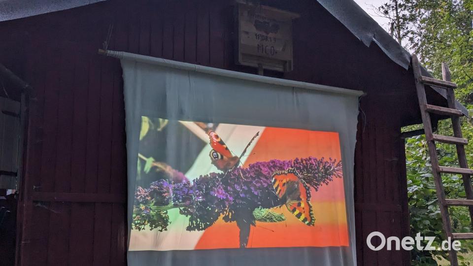 Die große Leinwand wurde an der schwedenrot gestrichenen Vereinshütte entrollt. Bild: LBV Neustadt-Weiden/exb