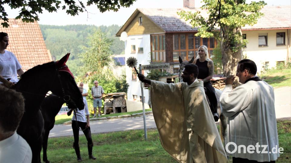 Pater Jithin Abraham bei der Pferdesegnung. Bild: mmj