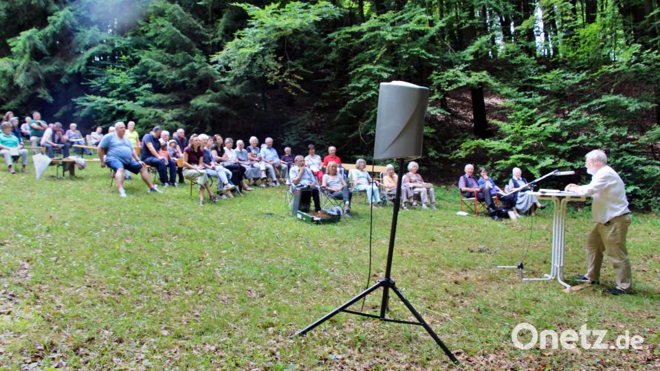 Die Hanglage der Waldwiese bei Gerhardsberg gibt den Zuhörer das Gefühl, in einem Auditorium zu sitzen. Bild: ds