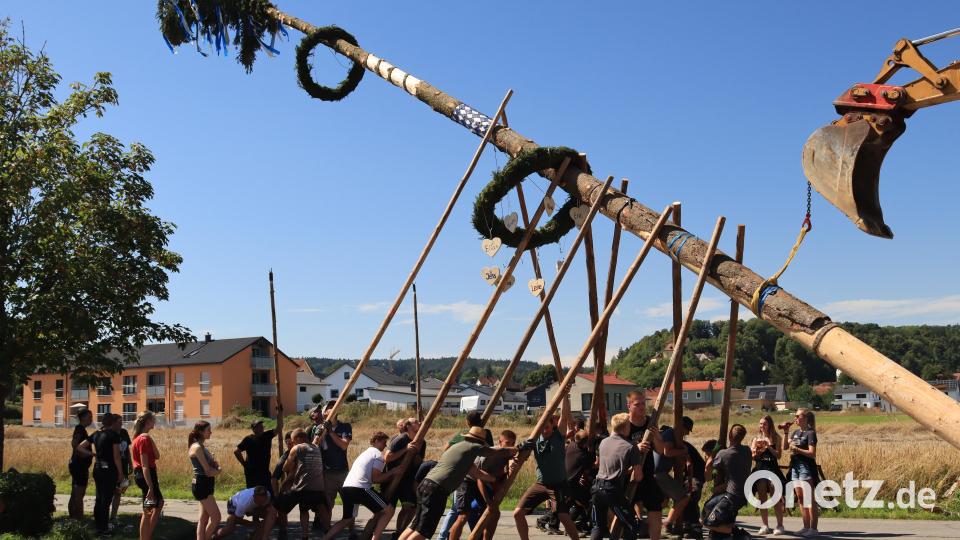 Am Samstag Nachmittag bei warmen Temperaturen stemmten die Burschen den stolzen 28 Meter hohen Kirwa-Baum unter der Anleitung von "Baummoasta" Dieter Hofmeister in die Höhe. Bild: mrr