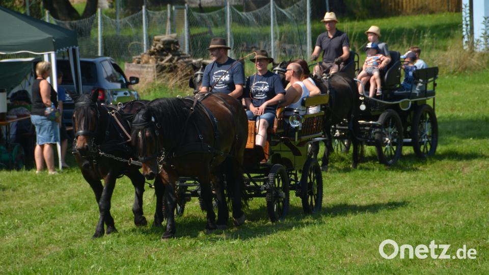 Auf der Wiese unterhalb des Fußballplatzes war am Festtag "Mariä Himmelfahrt" mächtig was geboten. Viele Pferde und Ponys brachten die Pferdefreunde im Grenzland heuer für den Kinderferiennachmittag mit. Ob in der Kutsche oder auf dem Rücken der Pferde, hatten die Kinder viel Freude und Spaß. Bild: dob
