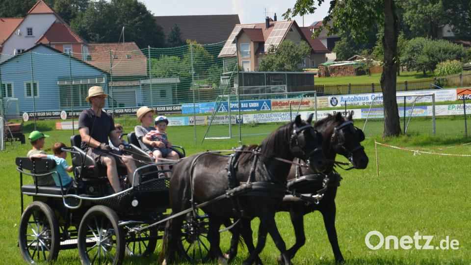 Auf der Wiese unterhalb des Fußballplatzes war am Festtag "Mariä Himmelfahrt" mächtig was geboten. Viele Pferde und Ponys brachten die Pferdefreunde im Grenzland heuer für den Kinderferiennachmittag mit. Ob in der Kutsche oder auf dem Rücken der Pferde, hatten die Kinder viel Freude und Spaß. Bild: dob