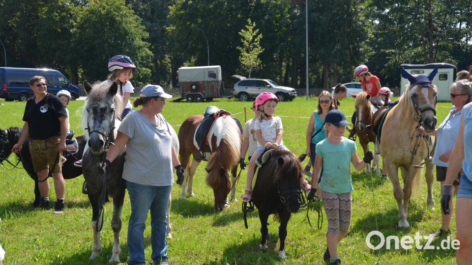 Auf der Wiese unterhalb des Fußballplatzes war am Festtag "Mariä Himmelfahrt" mächtig was geboten. Viele Pferde und Ponys brachten die Pferdefreunde im Grenzland heuer für den Kinderferiennachmittag mit. Ob in der Kutsche oder auf dem Rücken der Pferde, hatten die Kinder viel Freude und Spaß. Bild: dob