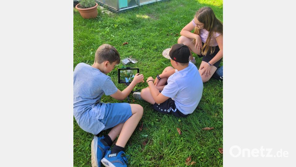 Wie werden einzelne Fotos zu einem Film? Das und vieles mehr erfahren die Jugendlichen beim Ferienprogramm des SPD Ortsvereins. Bild: exb; SPD Ortsverein/Tanja Groß