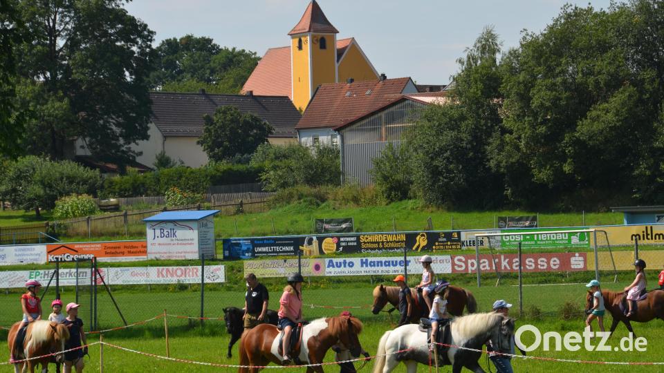 Auf der Wiese unterhalb des Fußballplatzes war am Festtag "Mariä Himmelfahrt" mächtig was geboten. Viele Pferde und Ponys brachten die Pferdefreunde im Grenzland heuer für den Kinderferiennachmittag mit. Ob in der Kutsche oder auf dem Rücken der Pferde, hatten die Kinder viel Freude und Spaß. Bild: dob