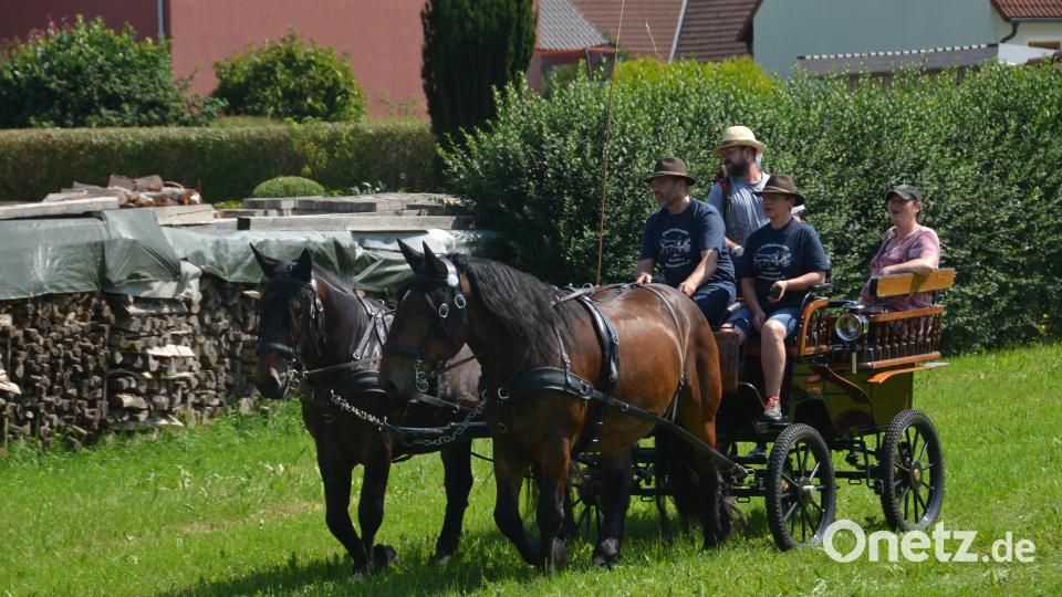 Auf der Wiese unterhalb des Fußballplatzes war am Festtag "Mariä Himmelfahrt" mächtig was geboten. Viele Pferde und Ponys brachten die Pferdefreunde im Grenzland heuer für den Kinderferiennachmittag mit. Ob in der Kutsche oder auf dem Rücken der Pferde, hatten die Kinder viel Freude und Spaß. Bild: dob