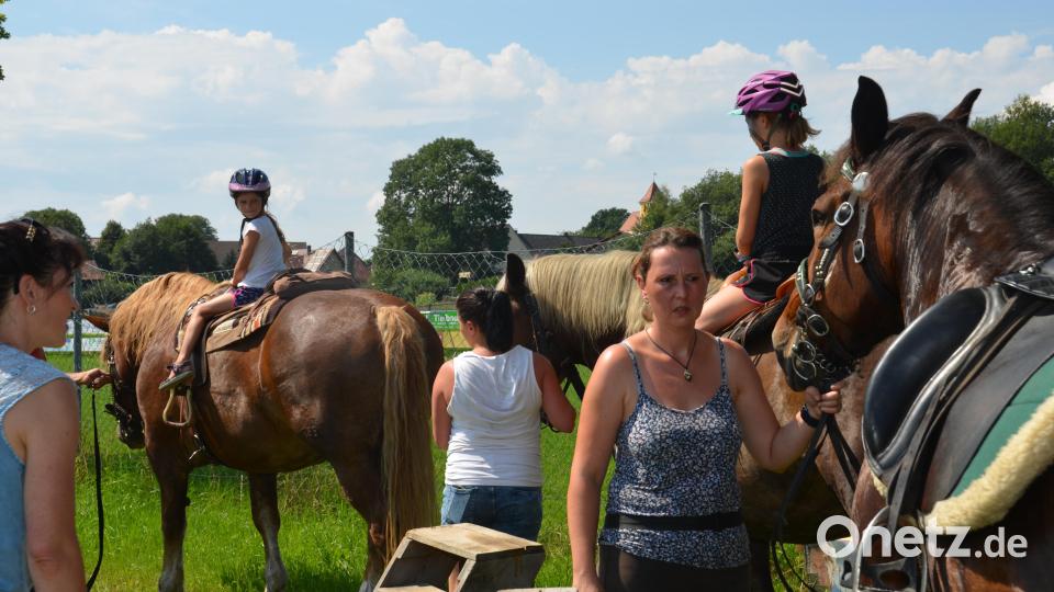 Auf der Wiese unterhalb des Fußballplatzes war am Festtag "Mariä Himmelfahrt" mächtig was geboten. Viele Pferde und Ponys brachten die Pferdefreunde im Grenzland heuer für den Kinderferiennachmittag mit. Ob in der Kutsche oder auf dem Rücken der Pferde, hatten die Kinder viel Freude und Spaß. Bild: dob