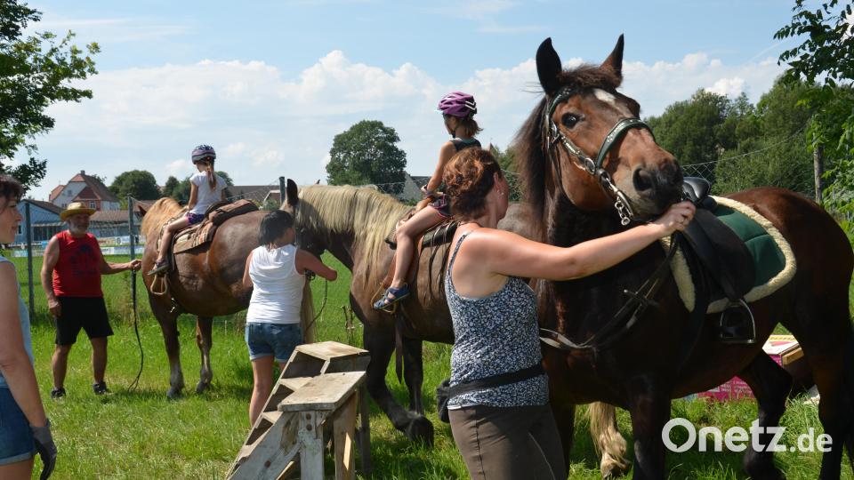 Auf der Wiese unterhalb des Fußballplatzes war am Festtag "Mariä Himmelfahrt" mächtig was geboten. Viele Pferde und Ponys brachten die Pferdefreunde im Grenzland heuer für den Kinderferiennachmittag mit. Ob in der Kutsche oder auf dem Rücken der Pferde, hatten die Kinder viel Freude und Spaß. Bild: dob