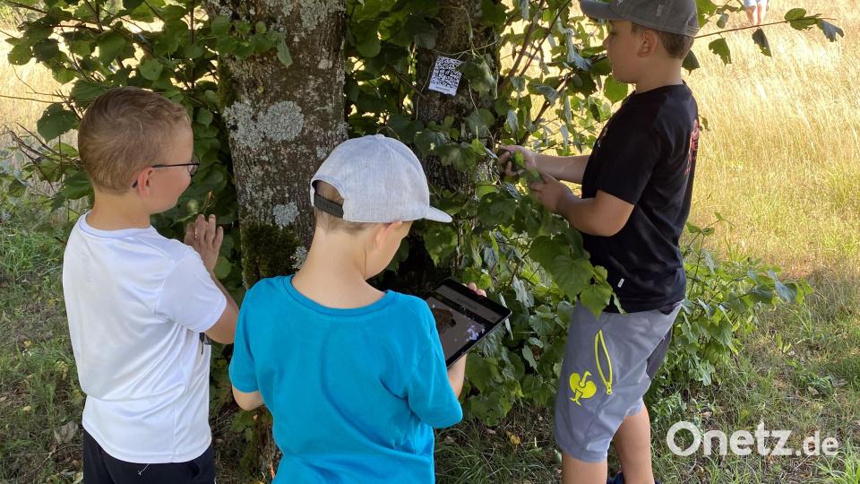 Die Schatzsuche am Kitschenrain mit modernen, digitalen Medien hat allen Jugendlichen Spaß gemacht. Dabei wird auf verantwortungsvollen, aktiven und kreativen Umgang mit Medien geachtet. Bild: exb; SPD Ortsverein/Tanja Groß