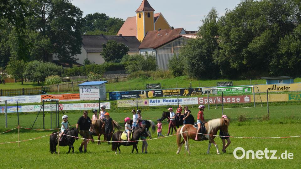 Auf der Wiese unterhalb des Fußballplatzes war am Festtag "Mariä Himmelfahrt" mächtig was geboten. Viele Pferde und Ponys brachten die Pferdefreunde im Grenzland heuer für den Kinderferiennachmittag mit. Ob in der Kutsche oder auf dem Rücken der Pferde, hatten die Kinder viel Freude und Spaß. Bild: dob
