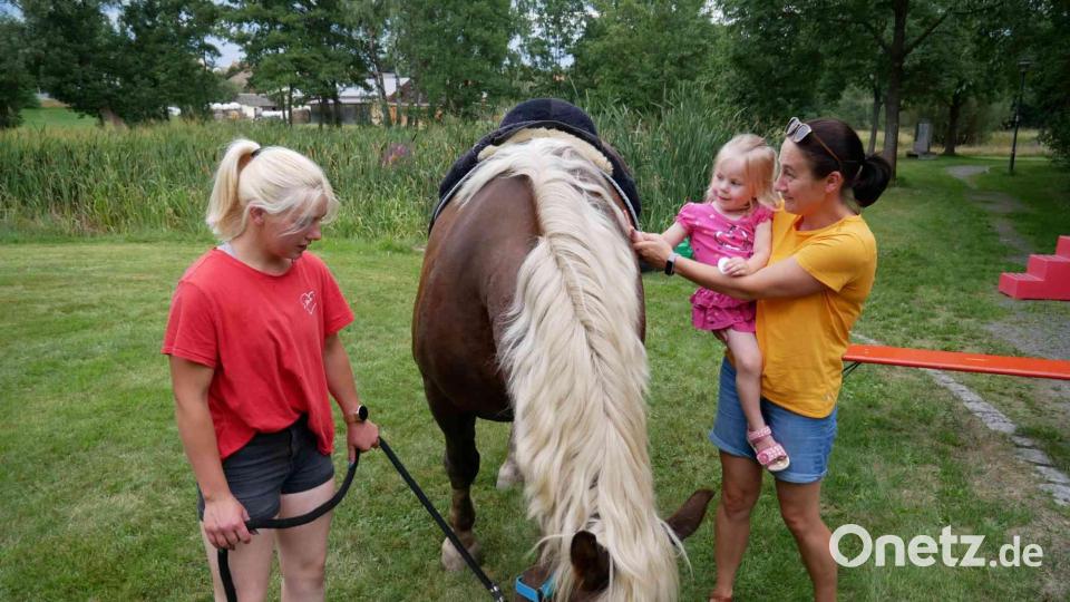 Die zweijährige Fenia schloss mit dem großen Pferd nach Streicheleinheiten gleich Freundschaft. Bild: gz
