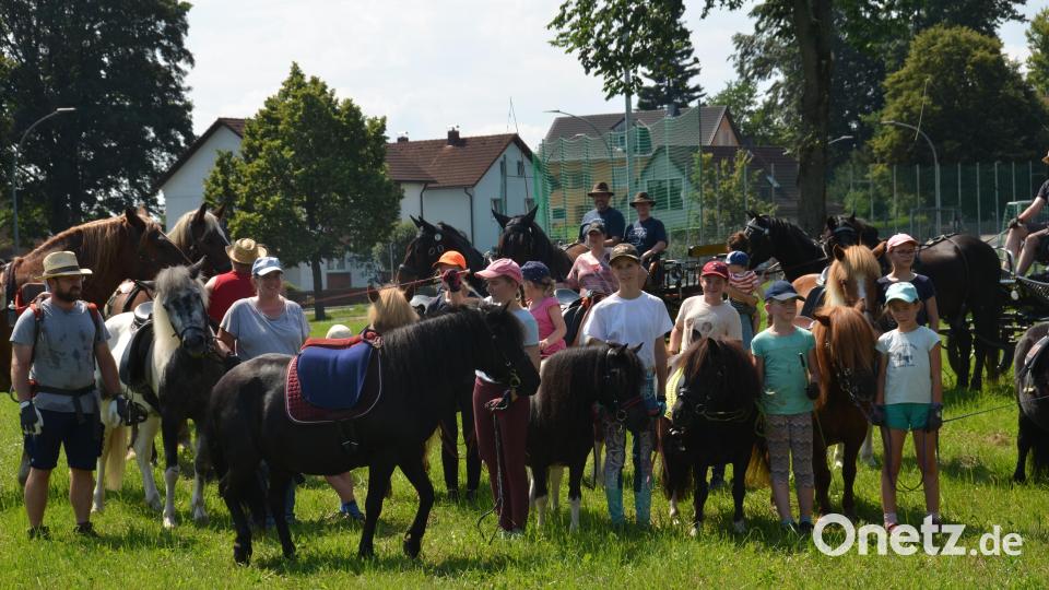 Auf der Wiese unterhalb des Fußballplatzes war am Festtag "Mariä Himmelfahrt" mächtig was geboten. Viele Pferde und Ponys brachten die Pferdefreunde im Grenzland heuer für den Kinderferiennachmittag mit. Ob in der Kutsche oder auf dem Rücken der Pferde, hatten die Kinder viel Freude und Spaß. Bild: dob