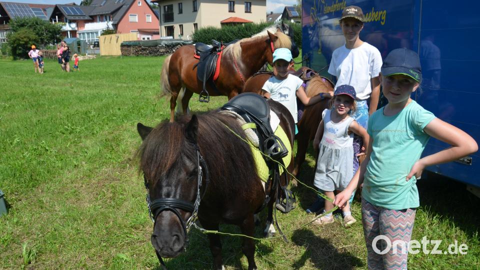 Auf der Wiese unterhalb des Fußballplatzes war am Festtag "Mariä Himmelfahrt" mächtig was geboten. Viele Pferde und Ponys brachten die Pferdefreunde im Grenzland heuer für den Kinderferiennachmittag mit. Ob in der Kutsche oder auf dem Rücken der Pferde, hatten die Kinder viel Freude und Spaß. Bild: dob