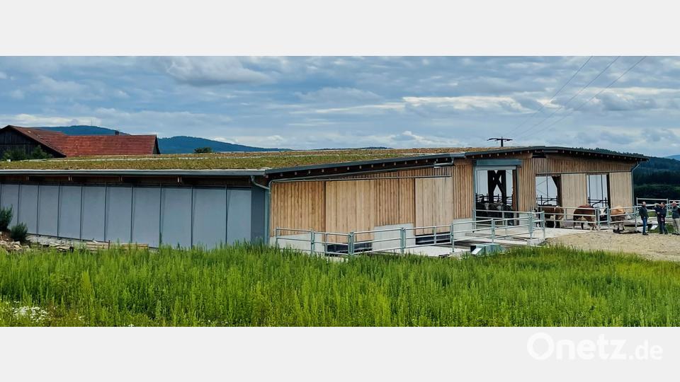 Der Stallbau fügt sich in die Kulturlandschaft des Vorderen Oberpfälzer Waldes ein. Bild: Hofbauer/exb