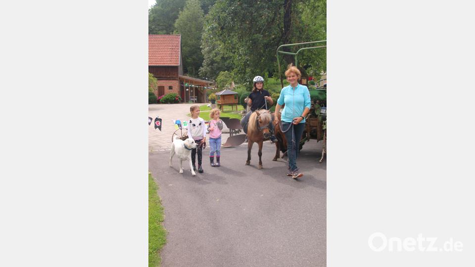 Fünf Tage „Abenteuer Landleben“ erlebten 14 Mädchen und Buben bei der gleichnamigen Ferienwoche des Stadtjugendrings Bild: Ulrike Simmerl/exb