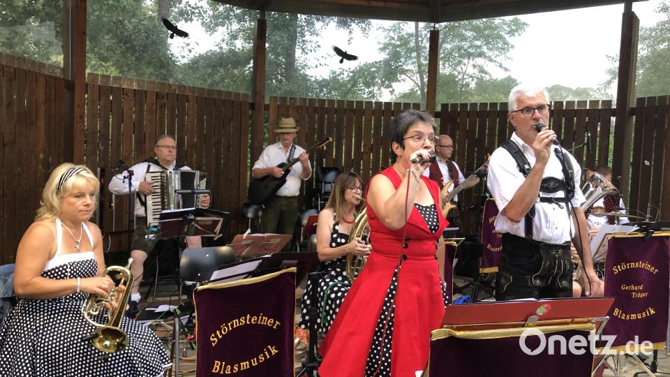 Die Störnsteiner Blasmusik gestaltet die Serenade in Neustadt trotz Regen. Bild: krb