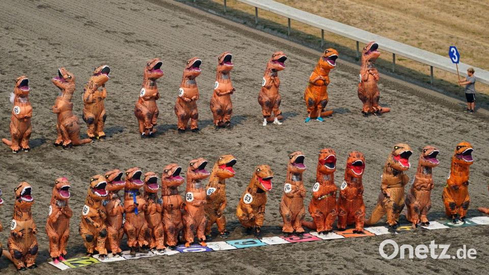 Dutzende von Teilnehmern in aufblasbaren T-Rex-Kostümen stellen sich für die ersten Läufe der T-Rex World Championship Races in Emerald Downs auf. Bild: Lindsey Wasson/AP