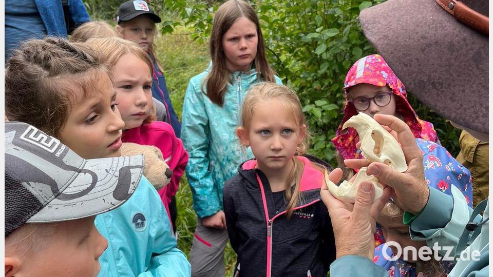 Welches Tier hat so ein Gebiss? Beim Ferienprogramm der Umweltstation Kloster Ensdorf wurden Kinder zu Naturforschern Bild: Anita Pedall/exb