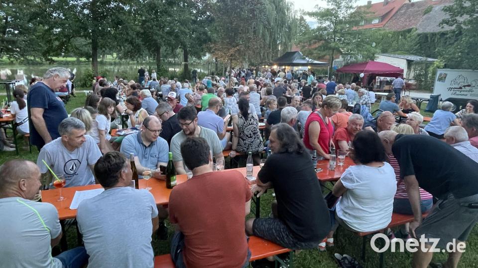 Das CSU-Weinfest am Auerbacher Stadtweiher erfreute sich eines großen Zuspruchs. Bild: Klaus Riede/exb